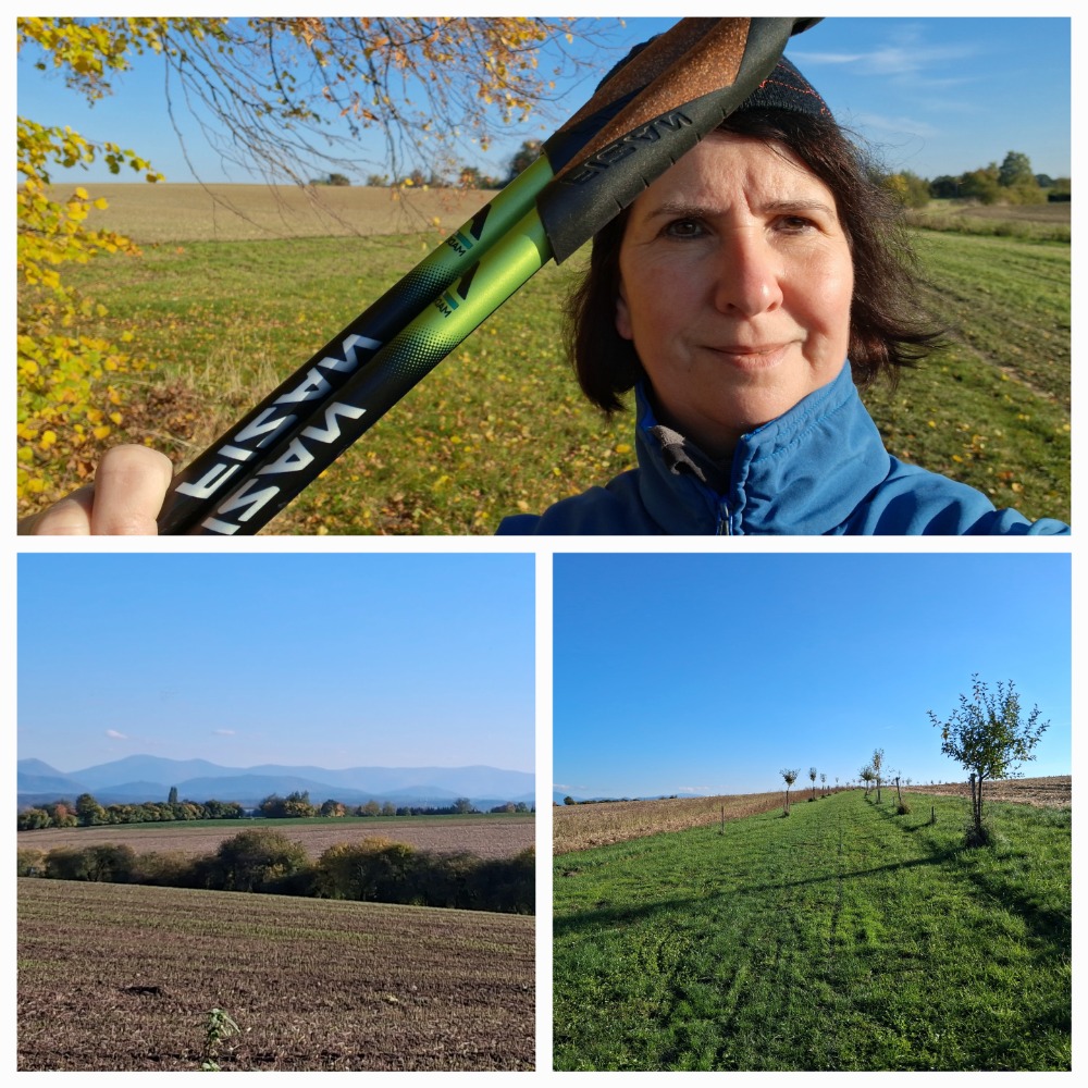 Nordic Walking